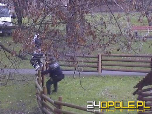 Strażnicy miejscy zatrzymali dilerów na placu zabaw