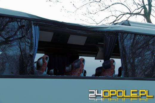 Konar drzewa spadł na autobus, jedna osoba jest ranna