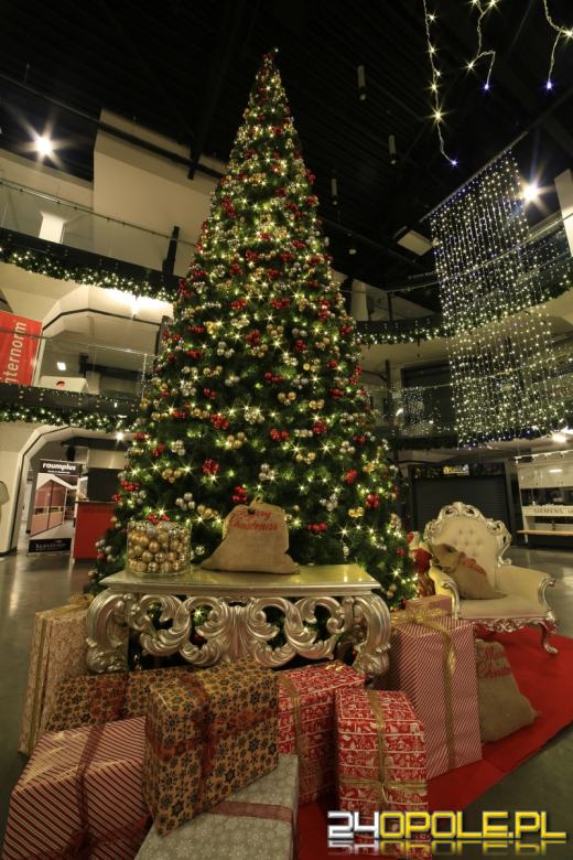 Żywa Szopka w domEXPO!