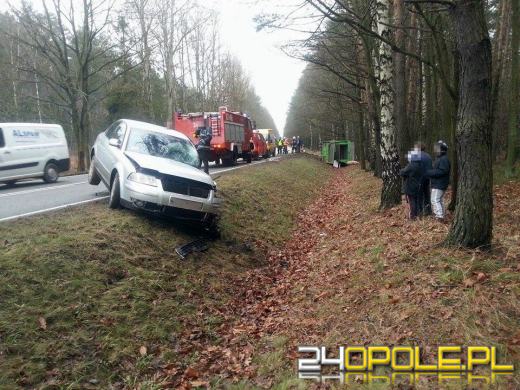 Volkswagen zderzył się z ciężarówką przewożącą świnie