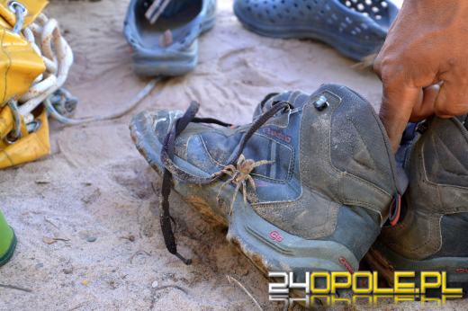 Opolscy podróżnicy w koronach drzew boliwijskiej dżungli