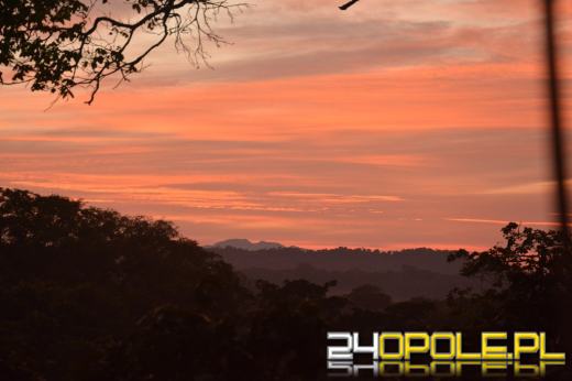 Opolscy podróżnicy w koronach drzew boliwijskiej dżungli