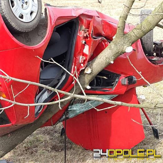 Dachowanie i zderzenie z drzewem. 18-latka zginęła na miejscu.