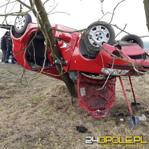 Dachowanie i zderzenie z drzewem. 18-latka zginęła na miejscu.