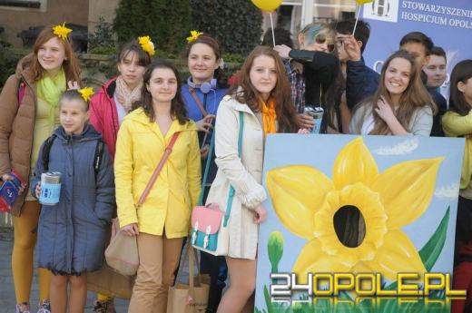 Uczniowie rozdawali żonkile za uśmiechy dla hospicjum