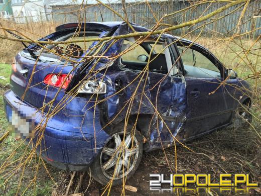 19-latek rozbił seata na drzewie próbując uniknąć zderzenia