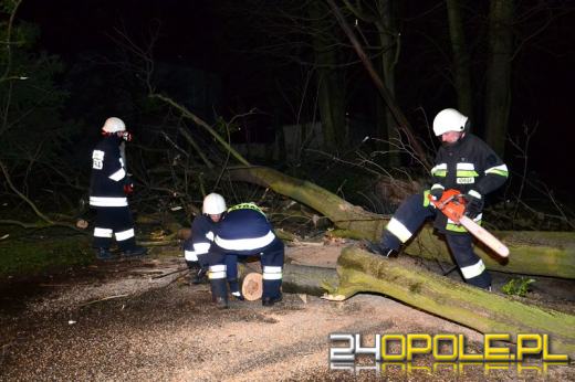 Wichura zrywa dachy i powala drzewa na Opolszczyźnie
