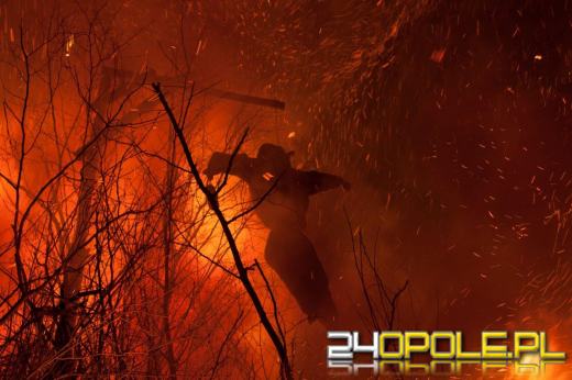 Palenie Judasza - wciąż żywa tradycja w Krośnicy