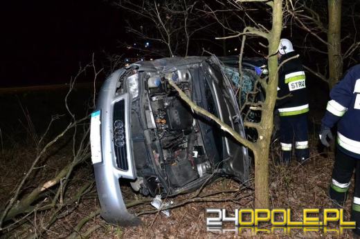 Nie chciał zderzyć się ze zwierzęciem, wjechał do rowu