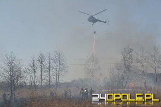 Ogromny pożar traw w Niemodlinie. W akcji samolot i helikopter.