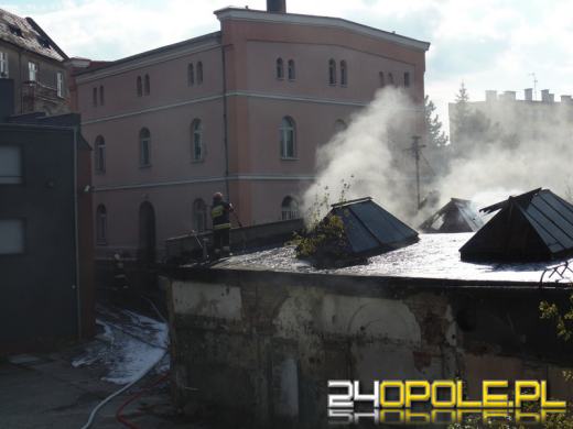 Pożar hali magazynowej w Brzegu