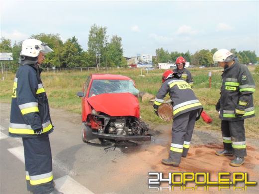 71-latek zginął w wypadku pod Nysą