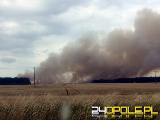 Płoną zboża i lasy na Opolszczyźnie