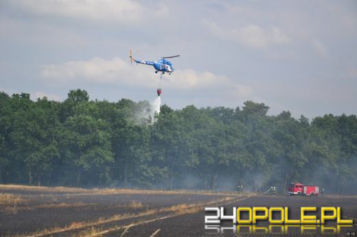 Płoną zboża i lasy na Opolszczyźnie