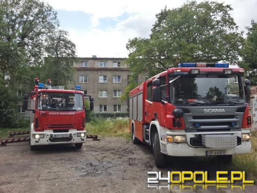 Wichura uszkodziła dziesiątki drzew w regionie