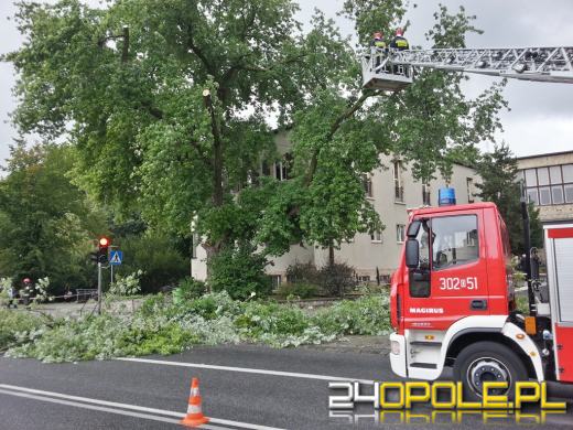 Korki na ul. Piastowskiej. Strażacy wycinali konar drzewa.