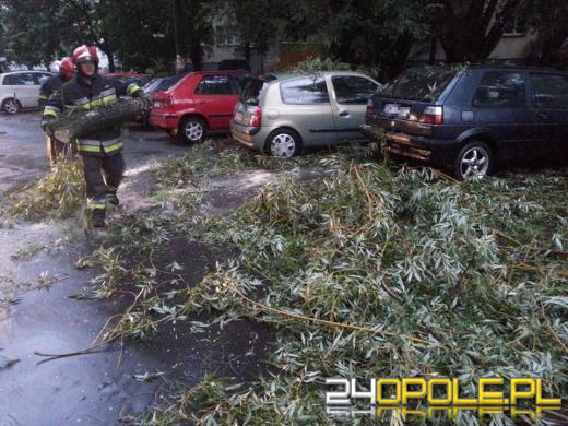  Burze nad Opolszczyzną. Ponad 100 interwencji strażaków!