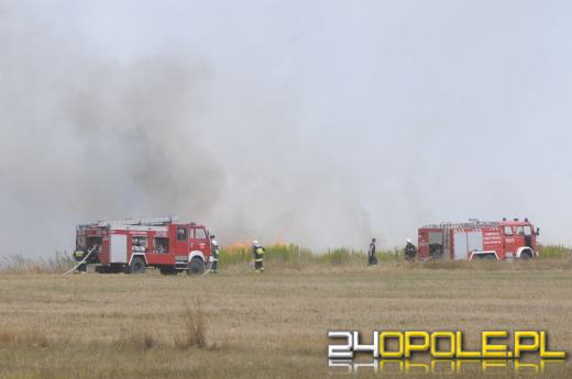 Ogromny pożar pod Łubnianami. Płonie ponad 200 hektarów traw.