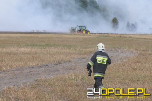 Ogromny pożar pod Łubnianami. Płonie ponad 200 hektarów traw.