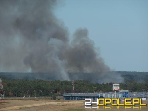 Strażacy walczą z pożarem przy obwodnicy Opola
