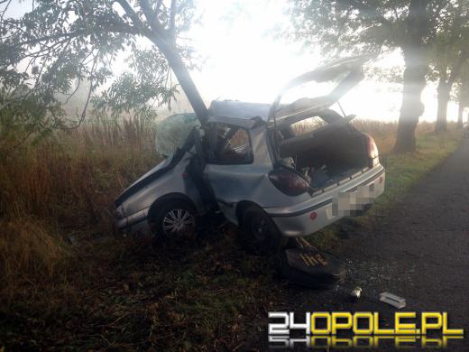 Fiat uderzył w drzewo. Kierowca zginął na miejscu.