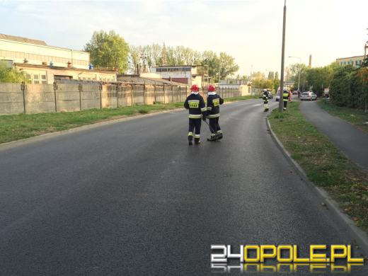 Bus kurierski wpadł w poślizg i uderzył w drzewo