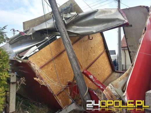 Samochód przewożący konia uderzył w słup