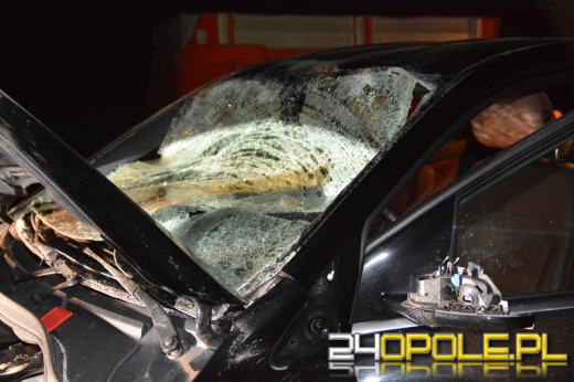 Mercedes uderzył w jelenia, przebiegającego przez drogę