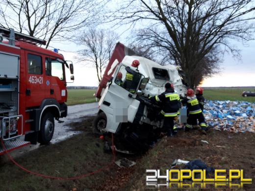 Ciężarówka wjechała w drzewo. Kierowca z Czech zginął na miejscu.