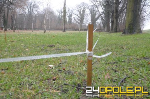 Przy cmentarzu na ul. Wrocławskiej powstanie wybieg dla psów