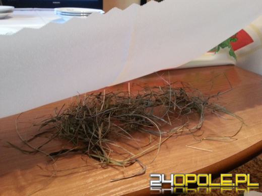 W wigilię ważne są symbole