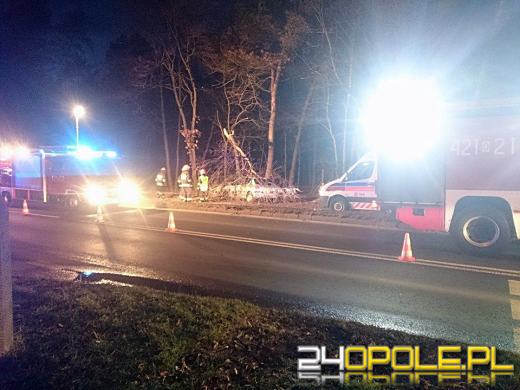 Pijany kierowca wjechał w drzewo. Pasażer trafił do szpitala.
