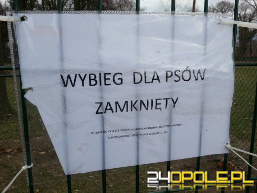 Psi park w Opolu będzie ponownie otwarty dopiero wiosną