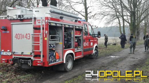 Zwłoki znaleziono w rowie w Oldrzyszowicach