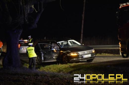 18 i 21-latek zginęli w wypadku pod Krasną Górą