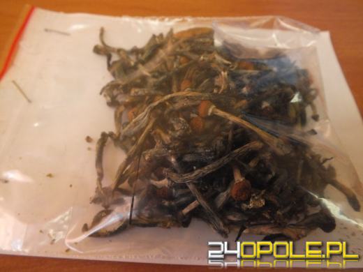 Wpadł podczas kontroli drogowej. W domu miał amfetaminę, marihuanę i grzybki.