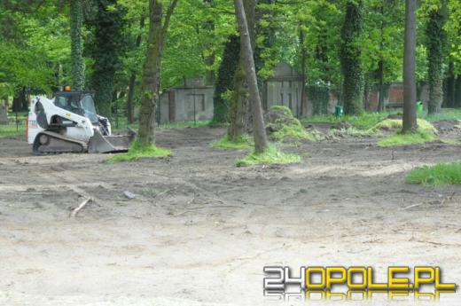 Miał być wybieg dla psów - jest poniemiecki cmentarz?