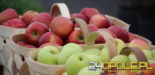 Hala Targowa czyli Eko Bazar już w Opolu - wstęp wolny