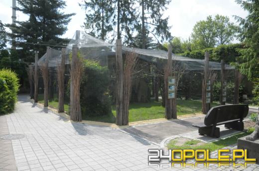 Papugi w opolskim zoo mają większą wolierę