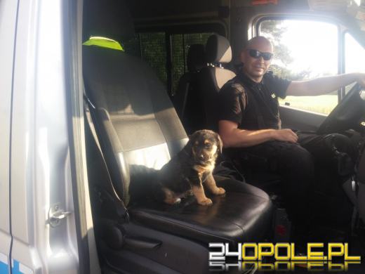 Policjant uratował maltretowanego szczeniaka 