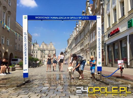 Zamgławiacze już ochładzają Opolan 