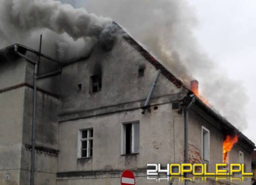Pożar opuszczonego budynku w Lewinie Brzeskim