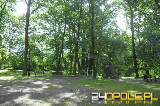 Radny Krzysztof Drynda proponuje strefę muzyki poważnej na wyspie Bolko