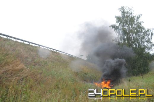 Nie chcą powiększenia Opola. Kolejna manifestacja.
