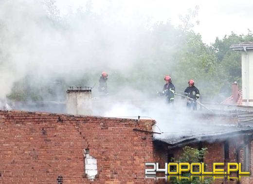 W Brzegu palił się pustostan