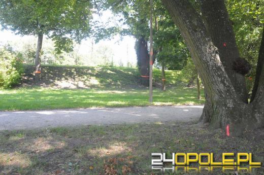 Zbigniew Bahryj: Wytniemy tylko 13 drzew pod średnicówkę.