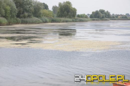 Kąpielisko Malina w opłakanym stanie. Ratusz szuka rozwiązania.