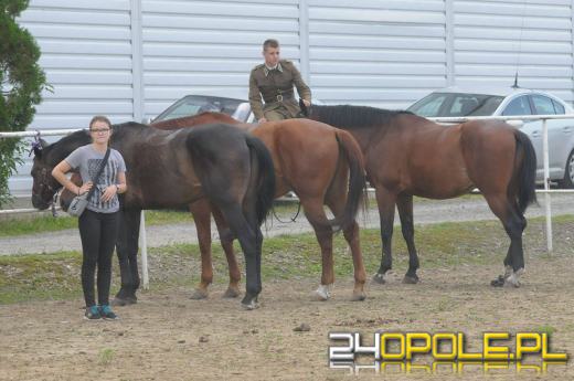 19. Pułk Ułanów Wołyńskich w Opolu świętuje 