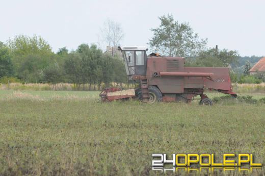 Tegoroczne lato nie oszczędza rolników