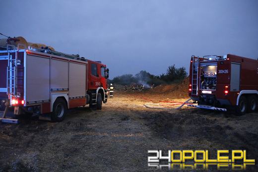 Pożar słomy w fabryce pelletu w Opolu